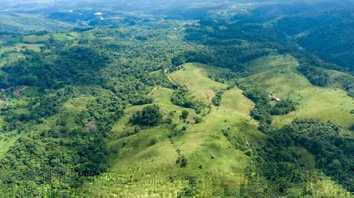 Finca en San Lorenzo