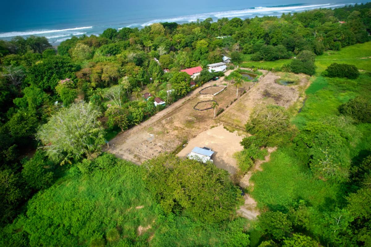 Property at Mata Palo