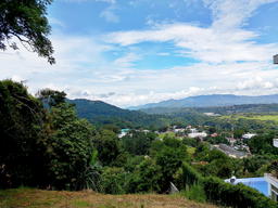 Venta