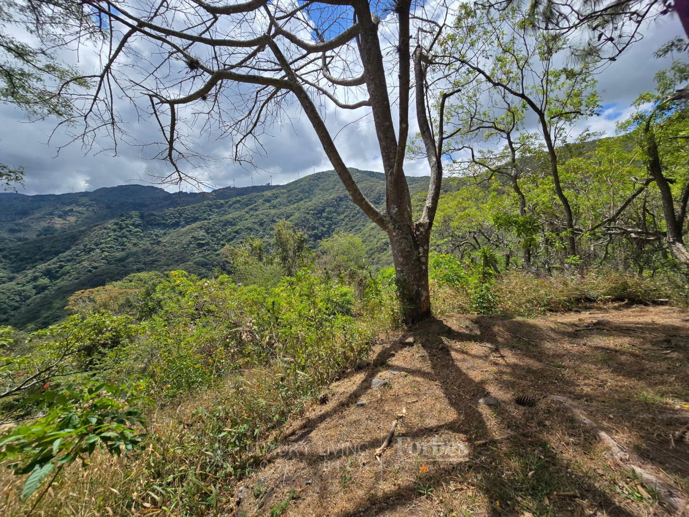 Property at Piedades