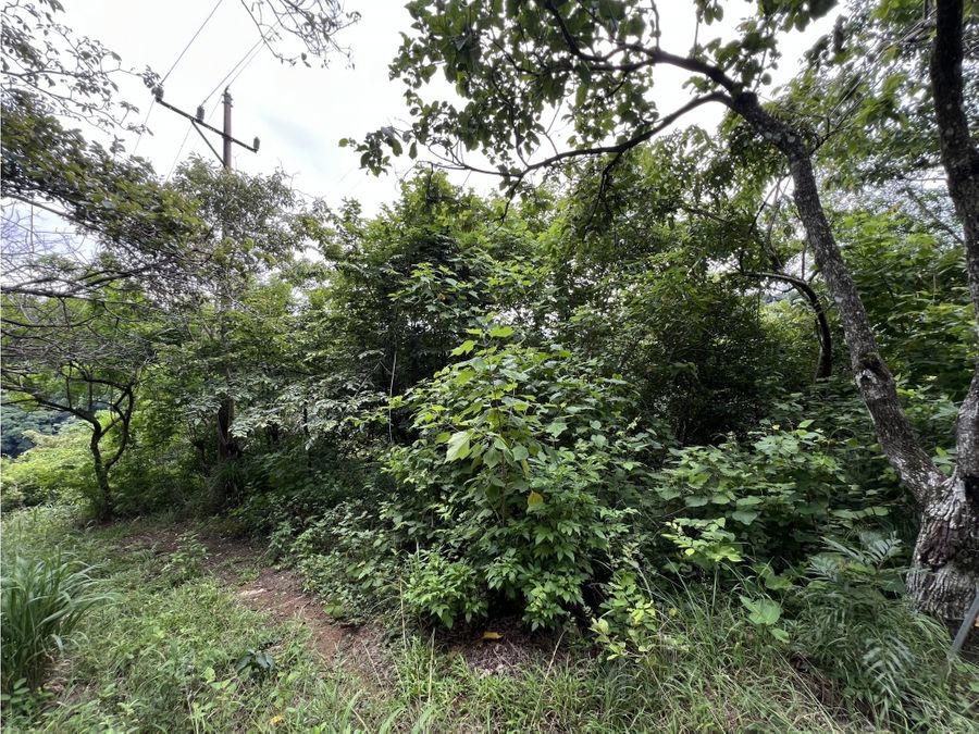 Land at Colón