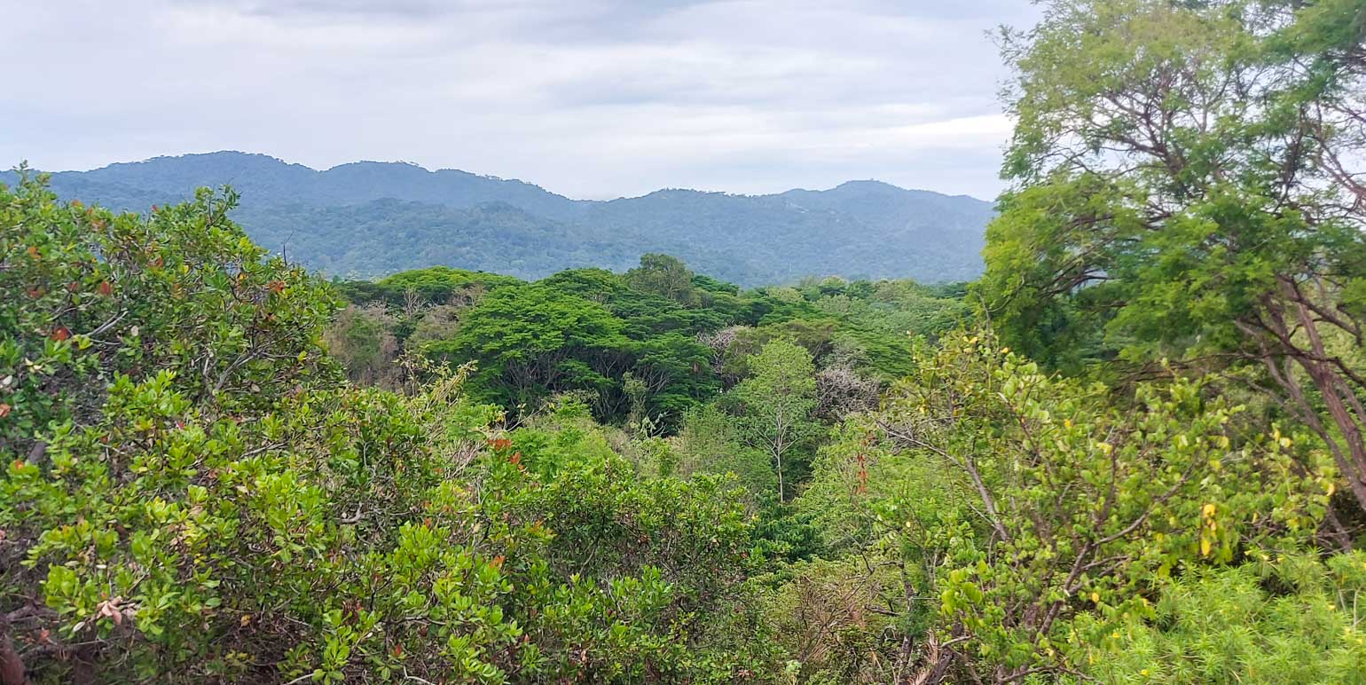 Property at Tárcoles