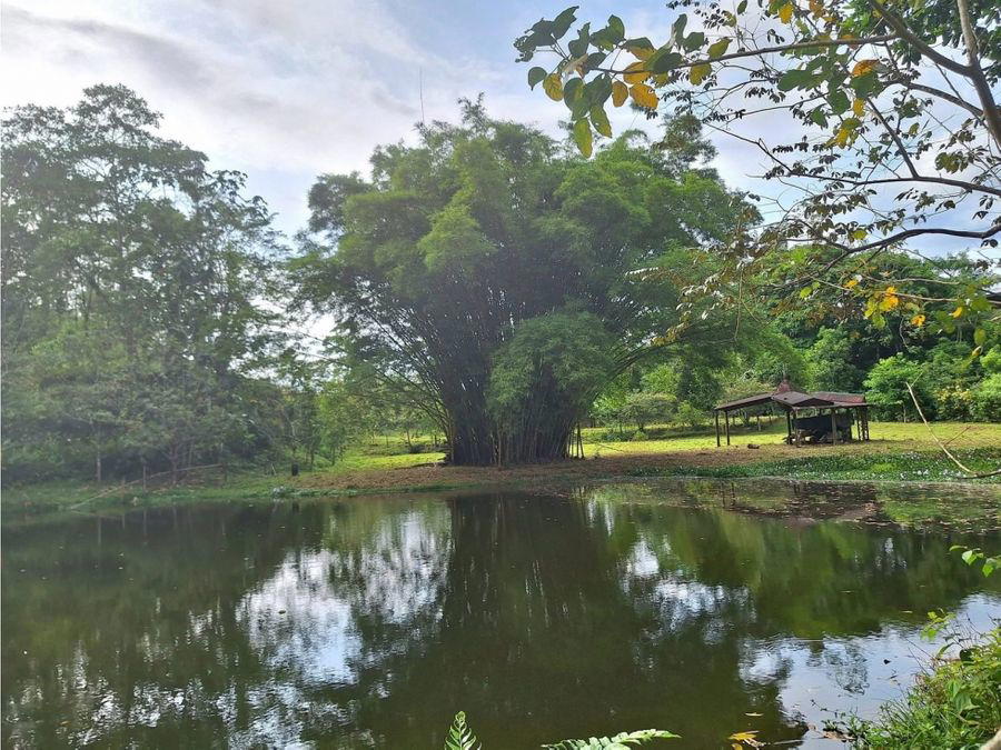 Finca en Florencia