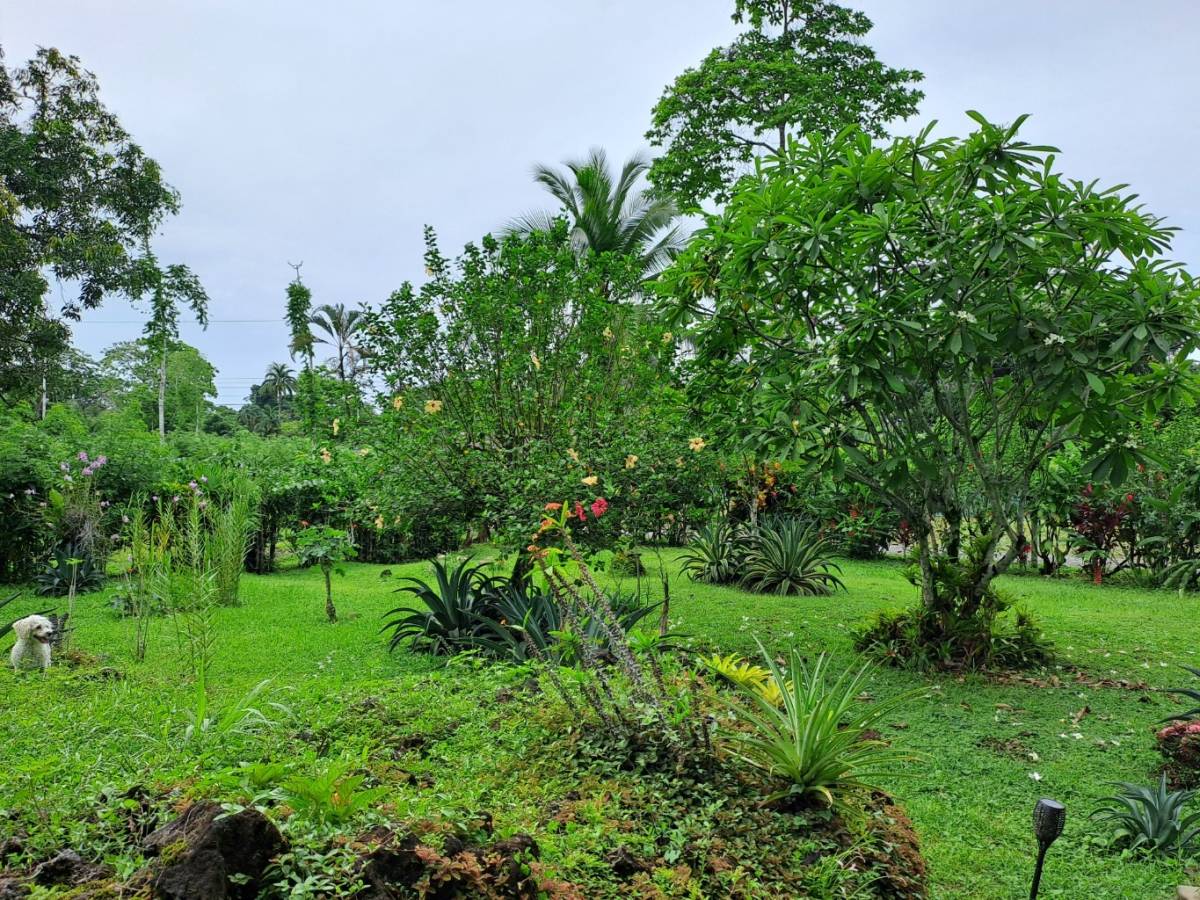 Property at Cahuita Playa Negra