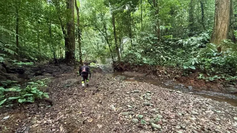 Terreno en Golfito