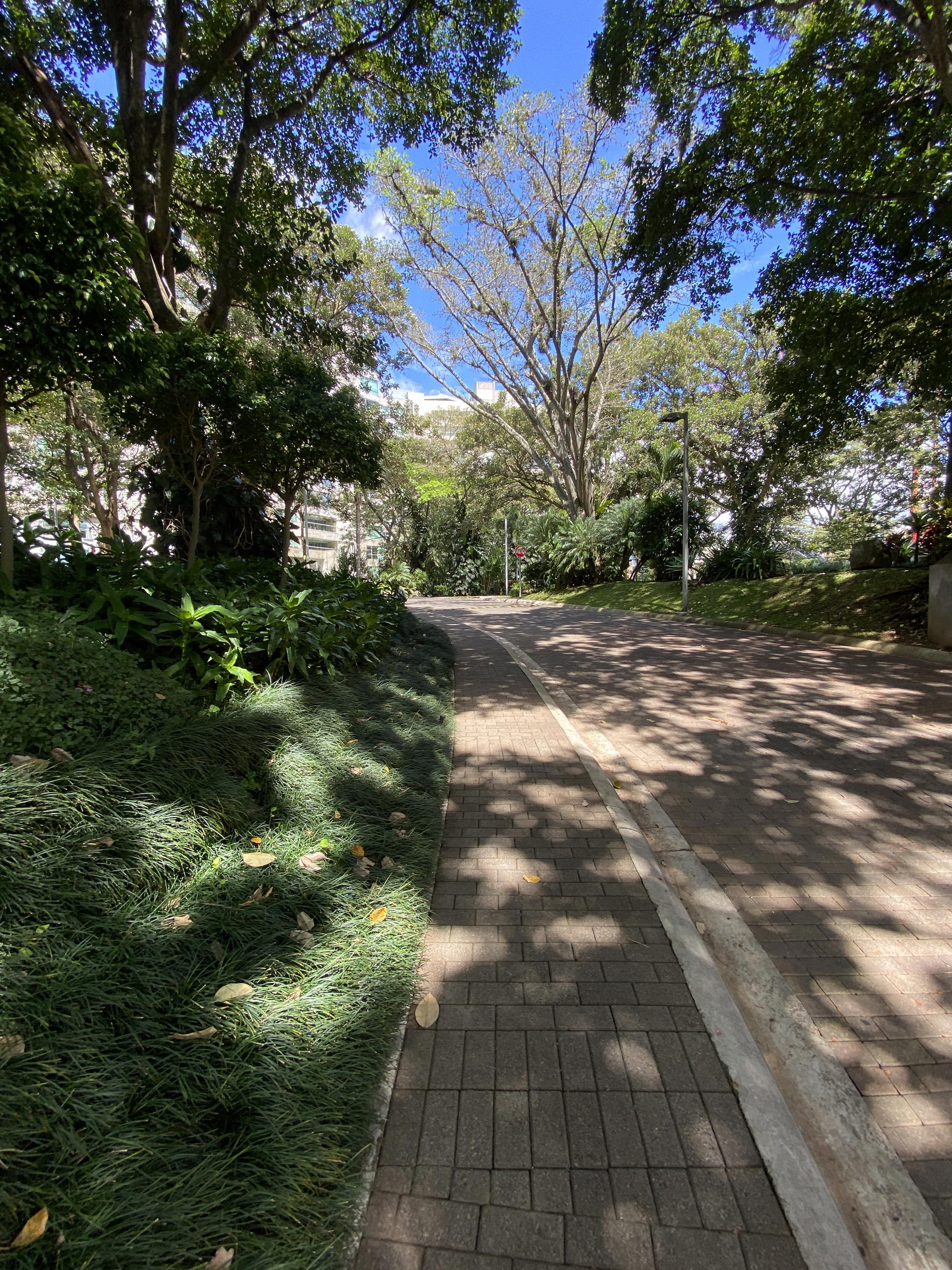 Propiedad en Condominio Central Park