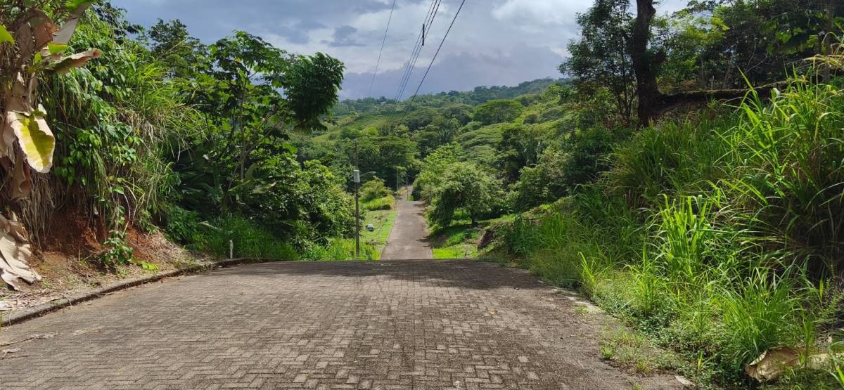 Property at Quebrada Amarilla