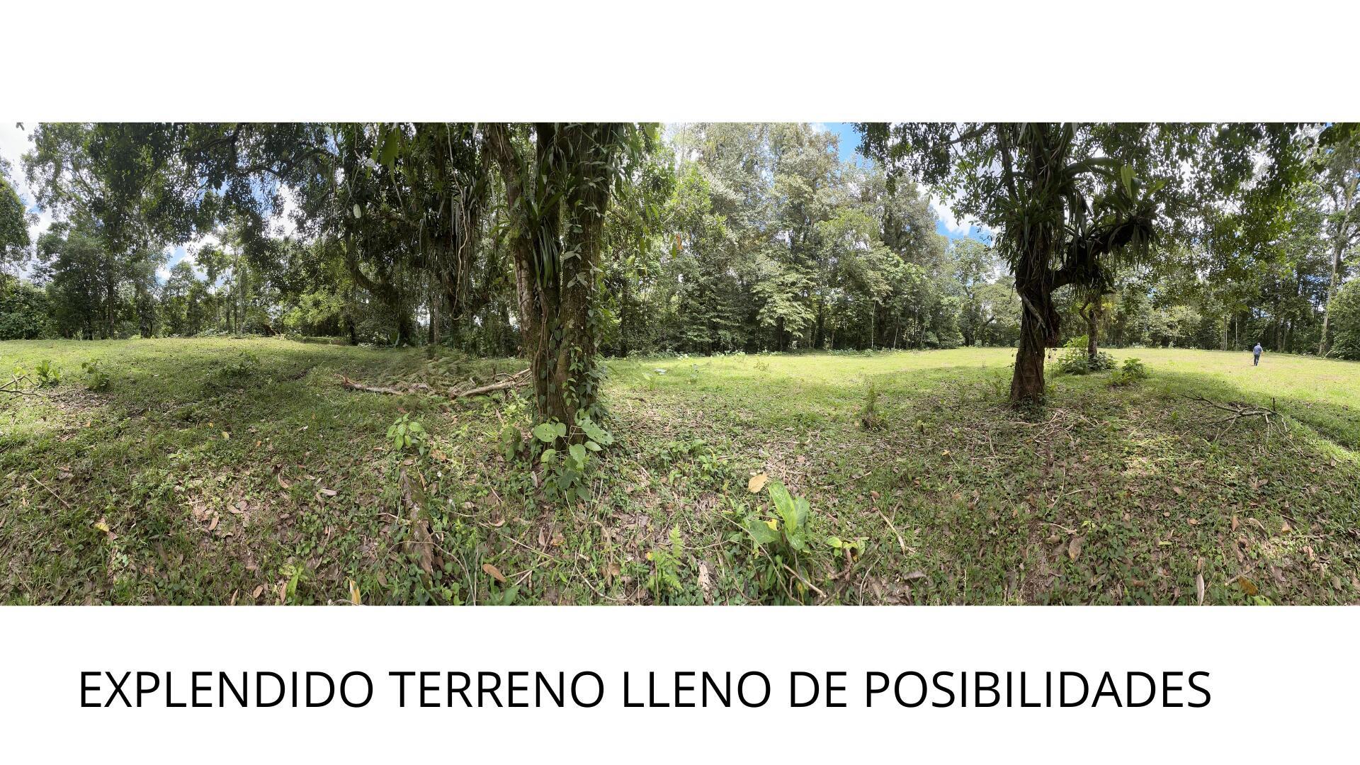 Property at Puerto Viejo