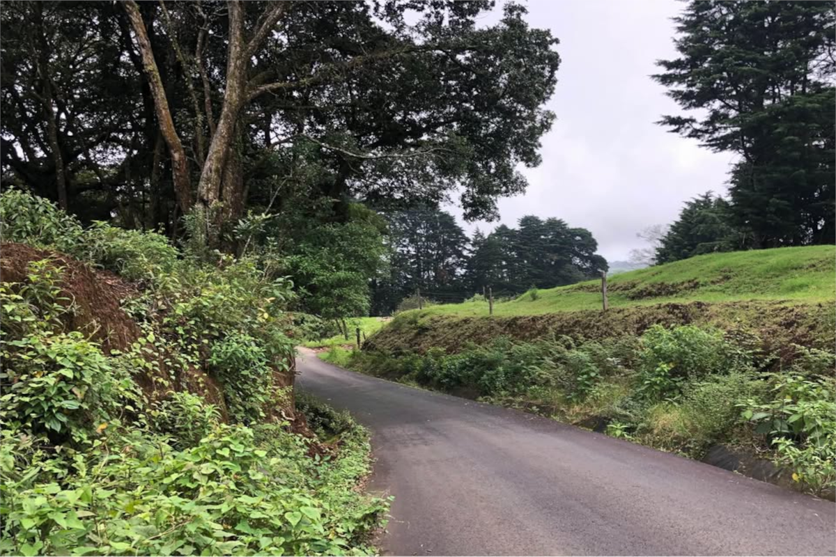 Land at Sabanilla