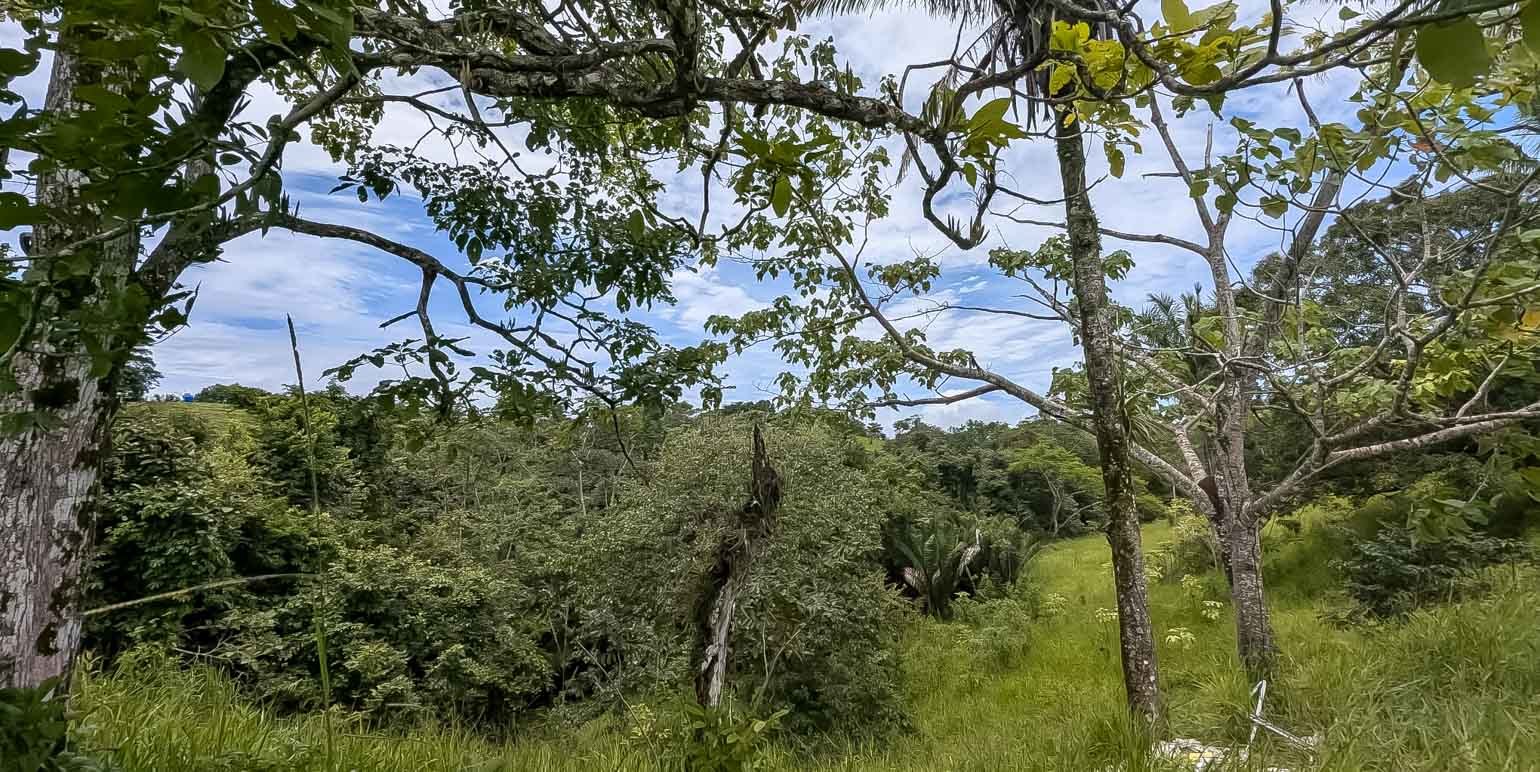 Terreno en Cóbano