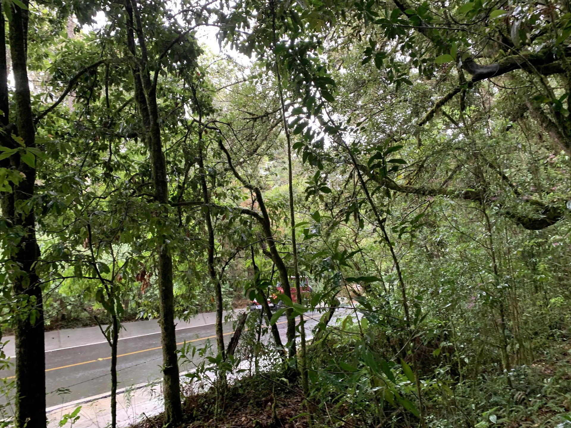 Property at Jardín