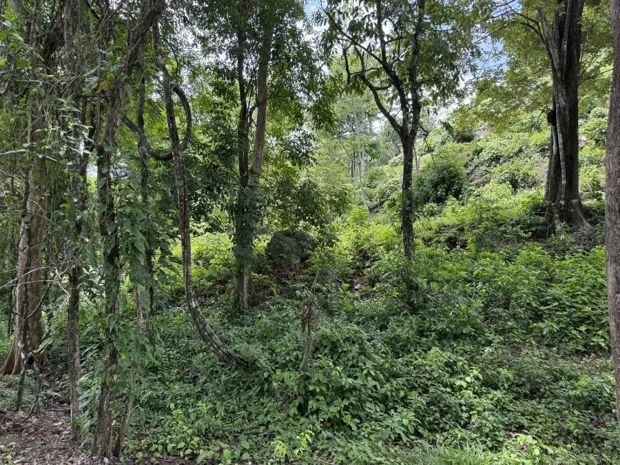 Terreno en Cóbano