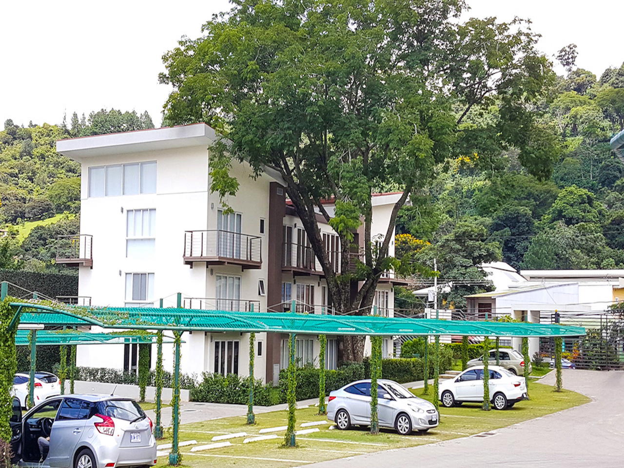 ALQUILER DE APARTAMENTO EN SAN NICOLAS DE BARI
