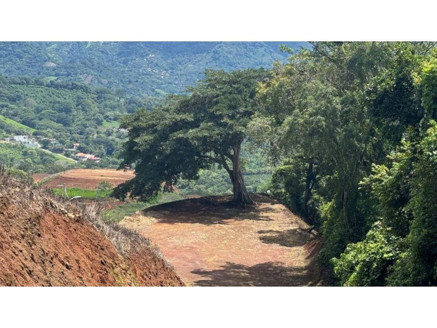 Finca en Jesús