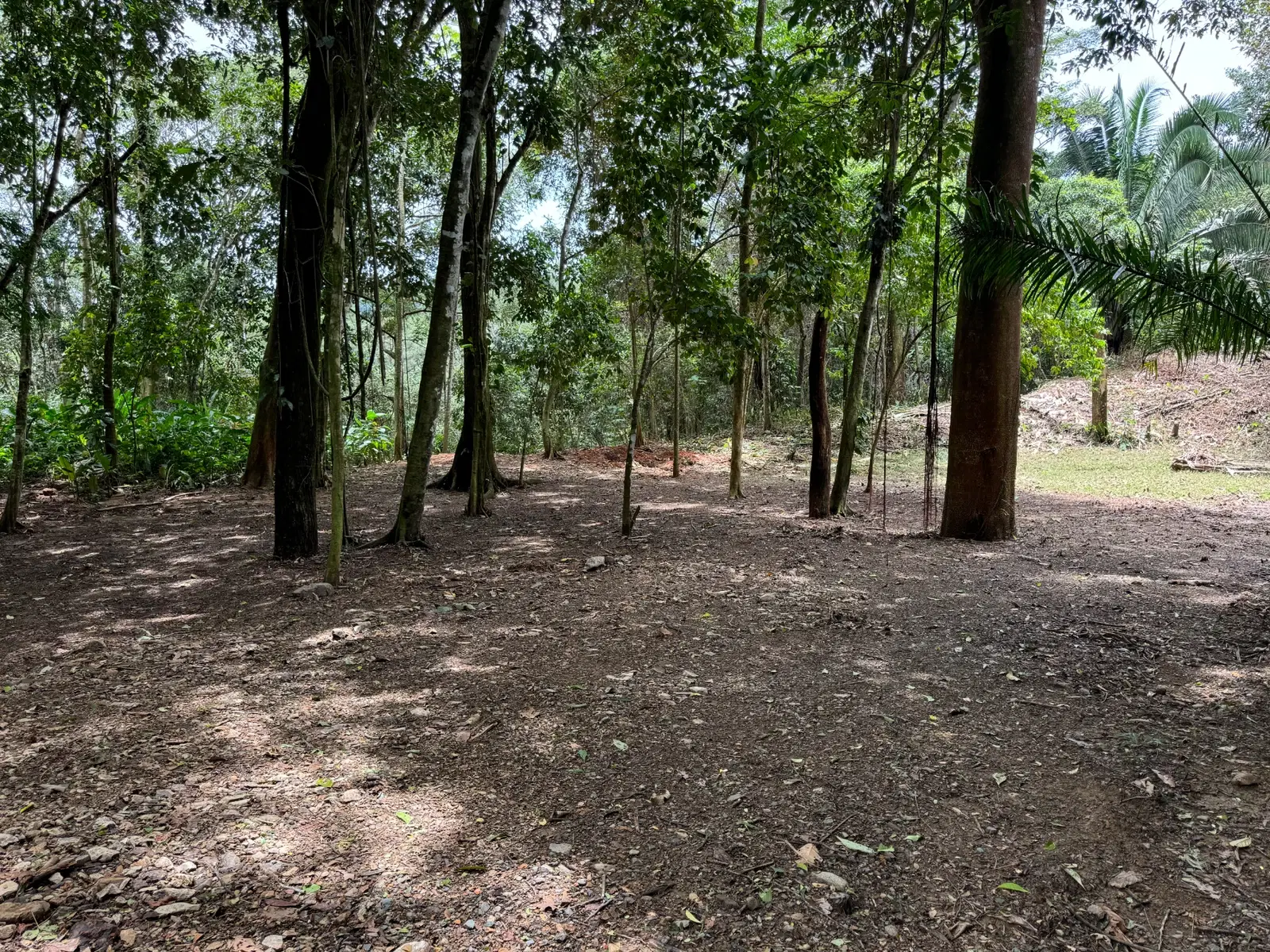 Terreno en Puntarenas