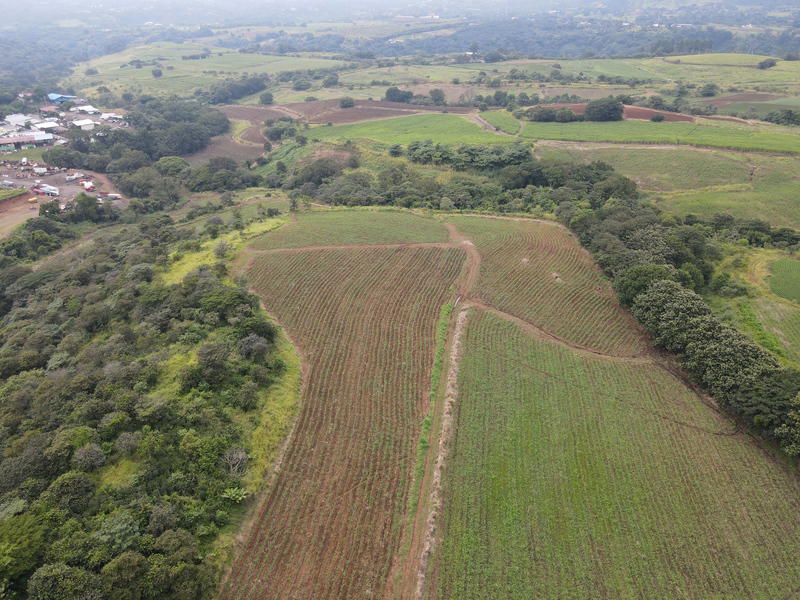 Land at Grecia