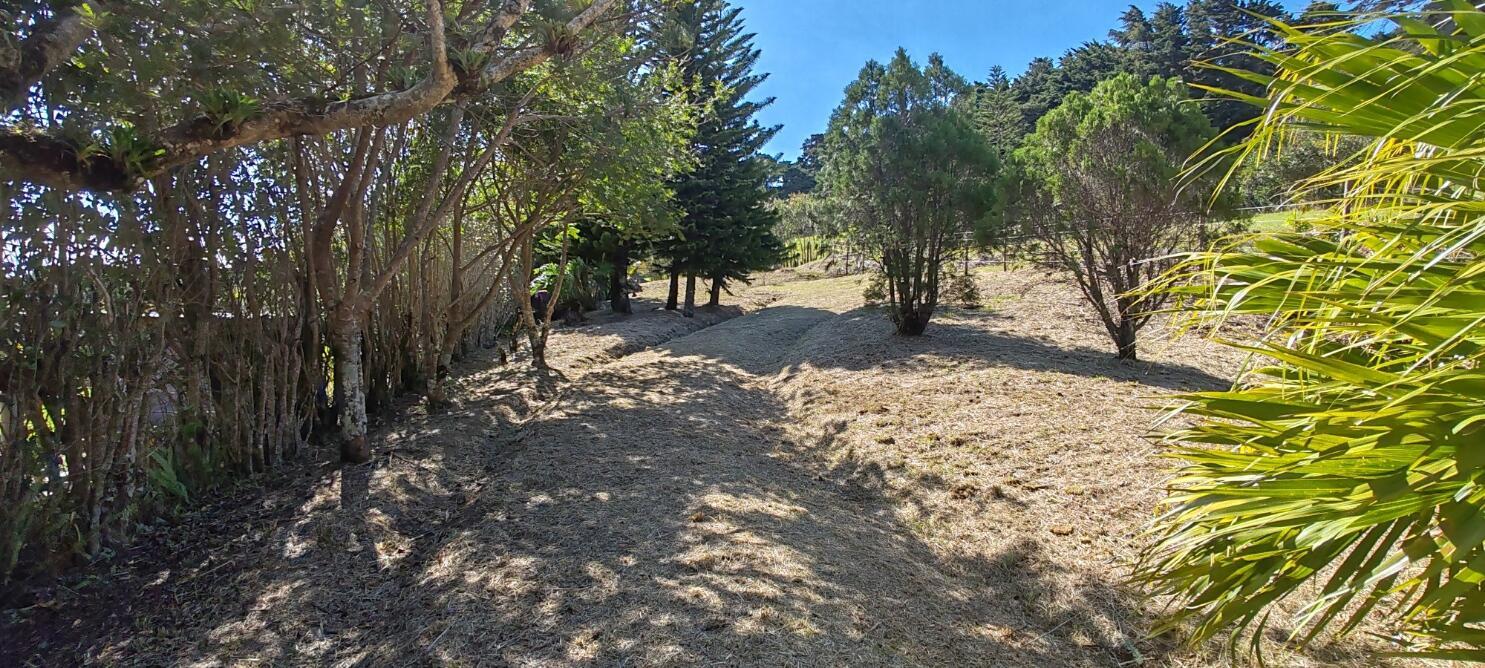 Propiedad en Concepción