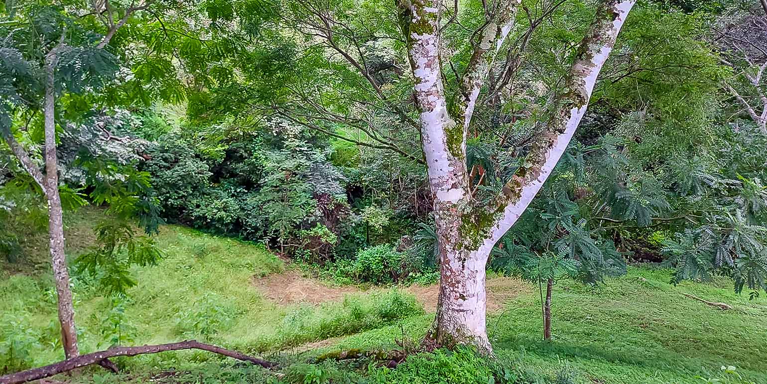 Property at Piedades