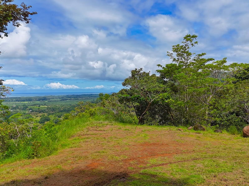 Land at Savegre