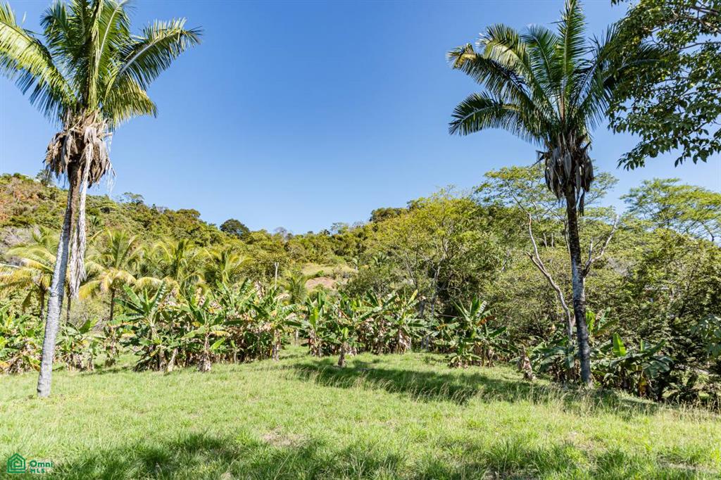 Terreno en Bejuco