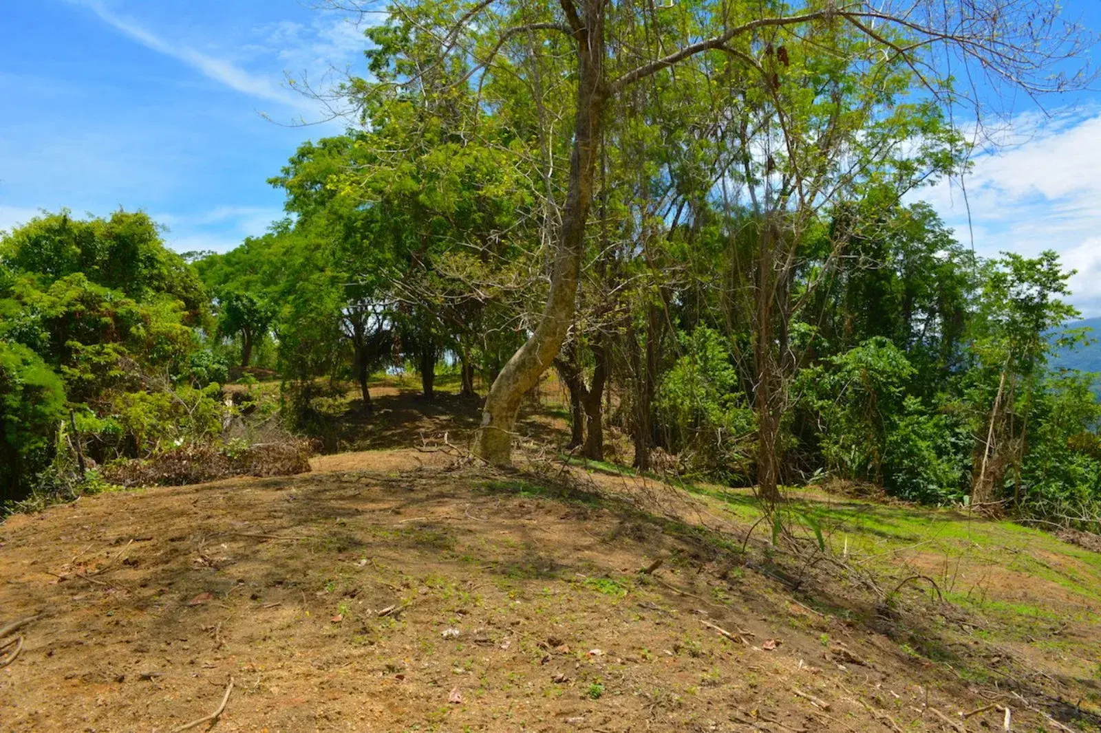 Terreno en Puerto Cortés