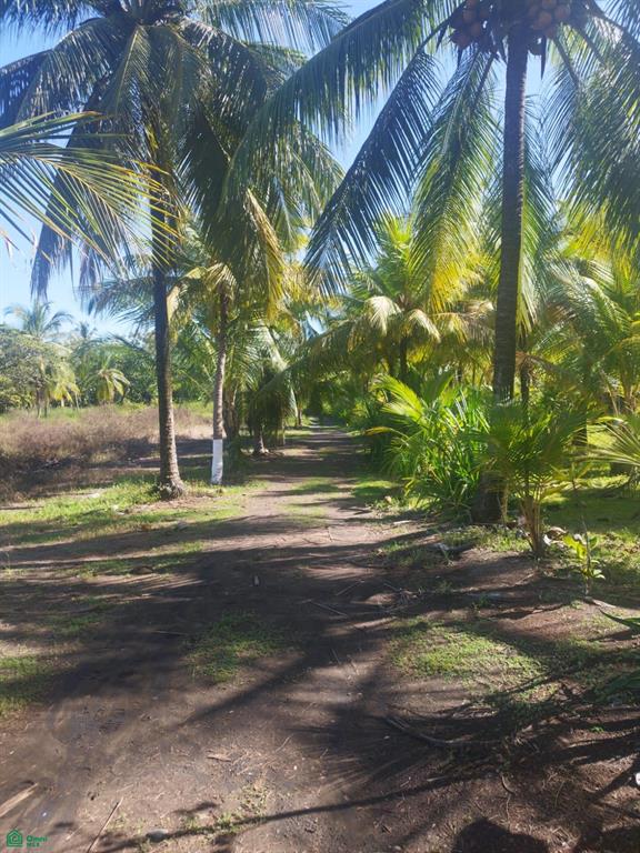 Terreno en Parrita