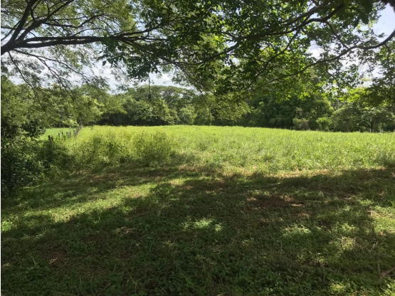 Property at Quebrada Honda
