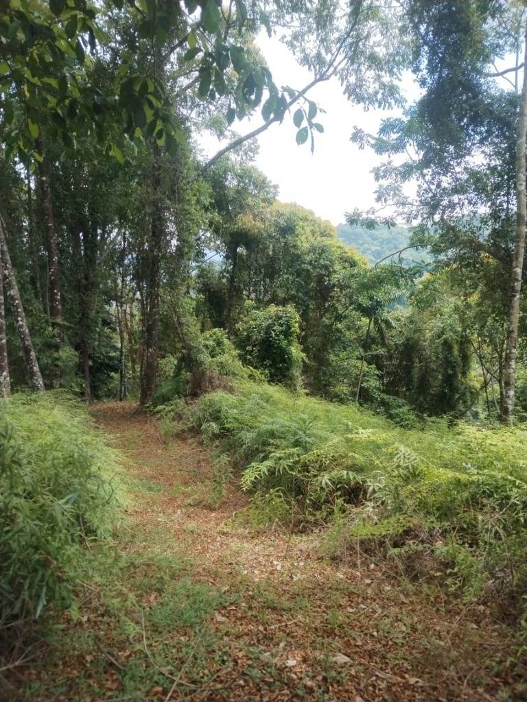 Estate at Quepos