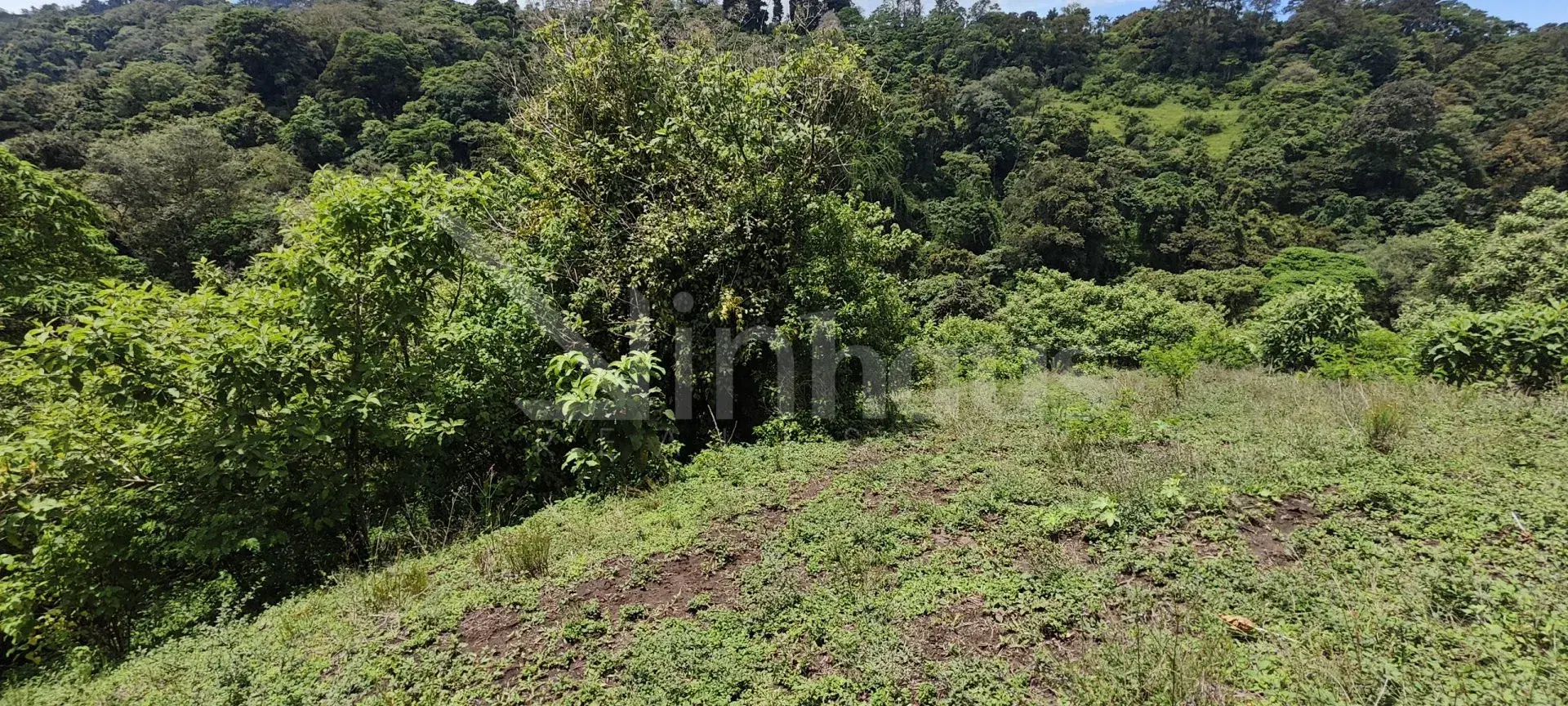 Property at San Isidro