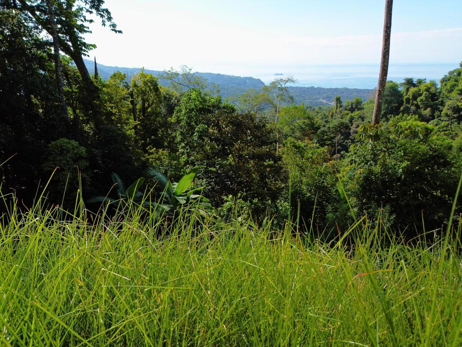Land at Bahía Ballena