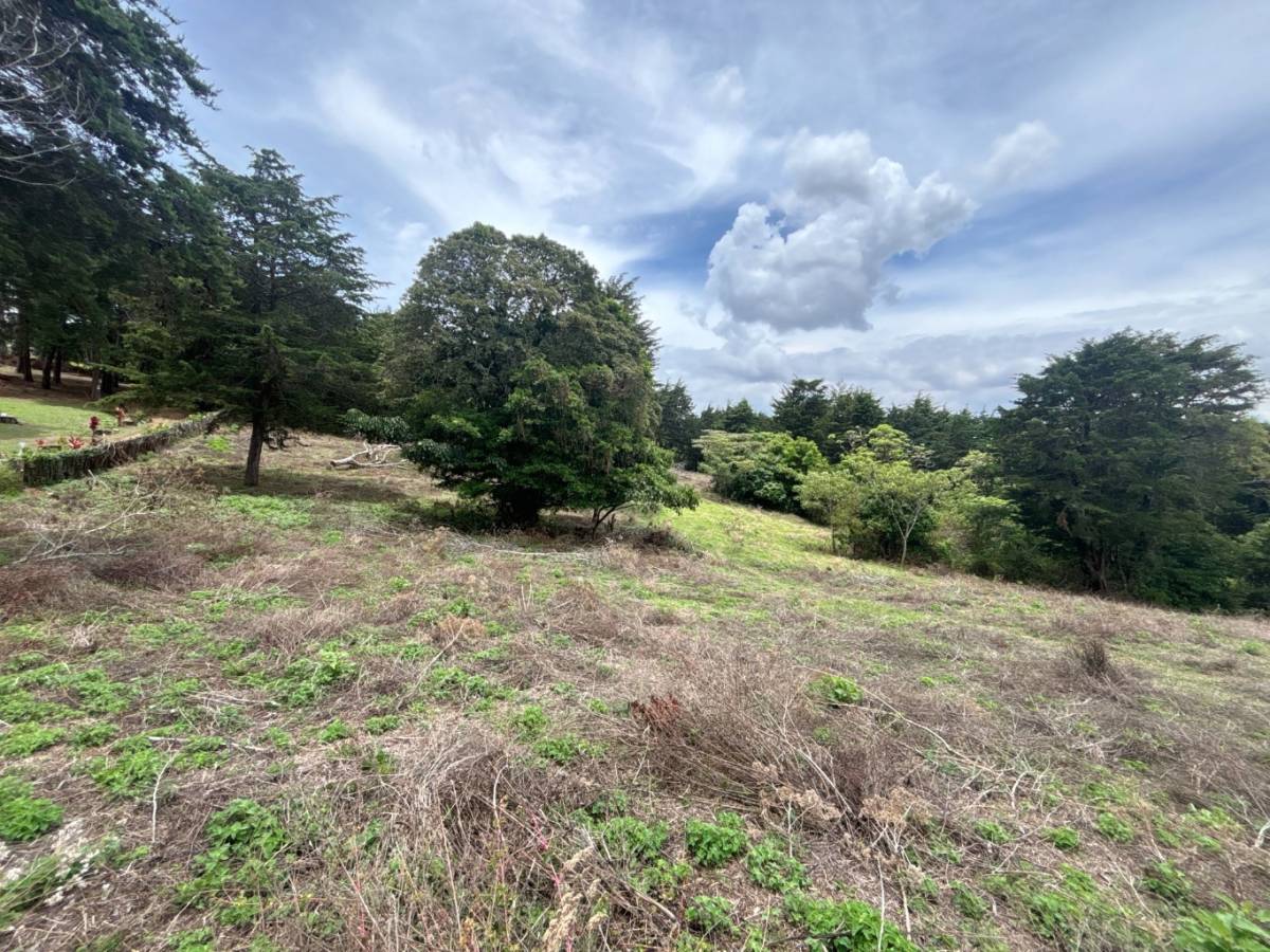 Property at Ángeles