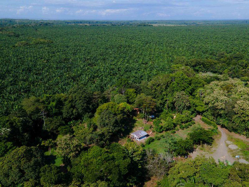 Property at Quepos