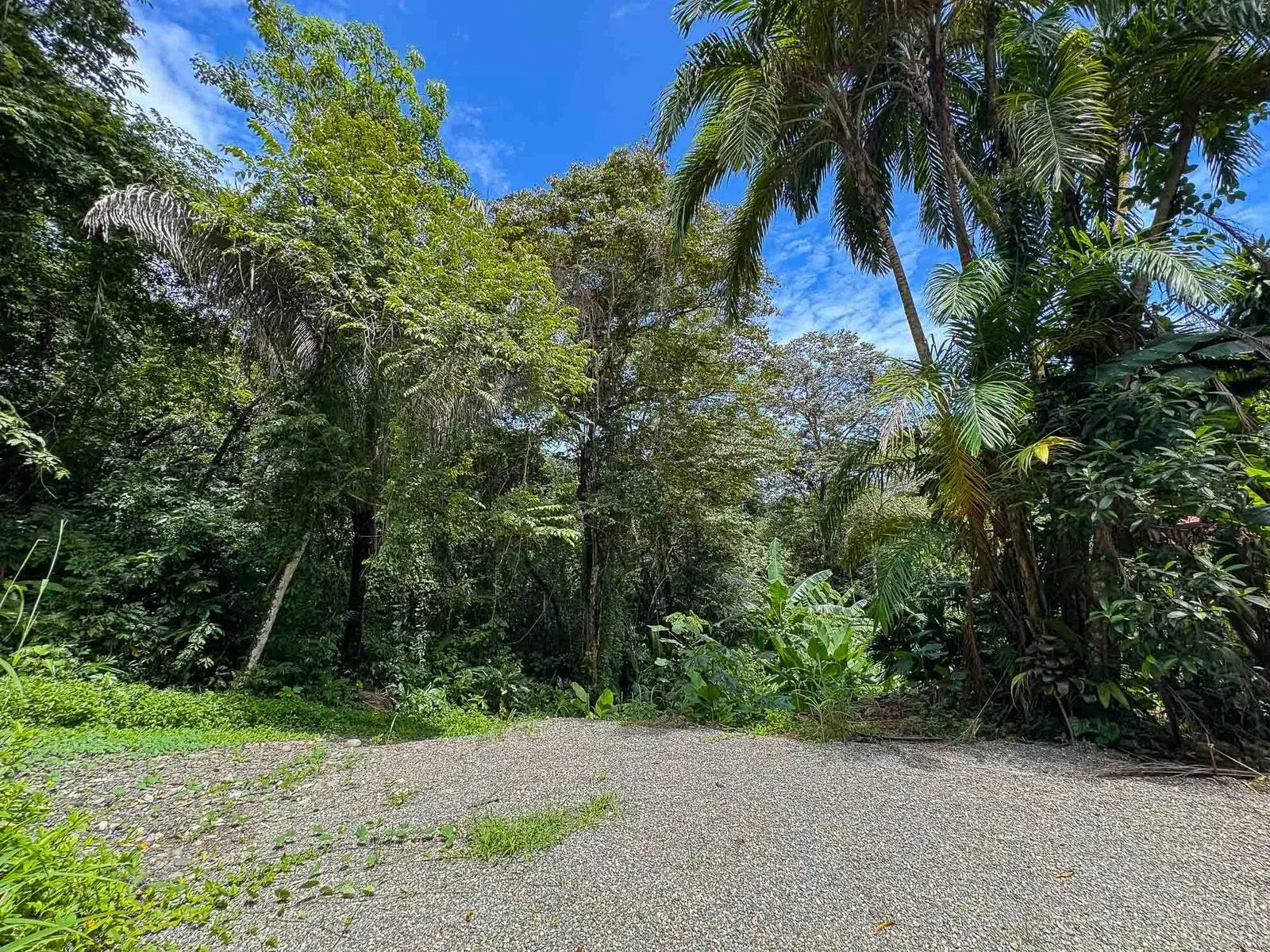 Land at Quepos