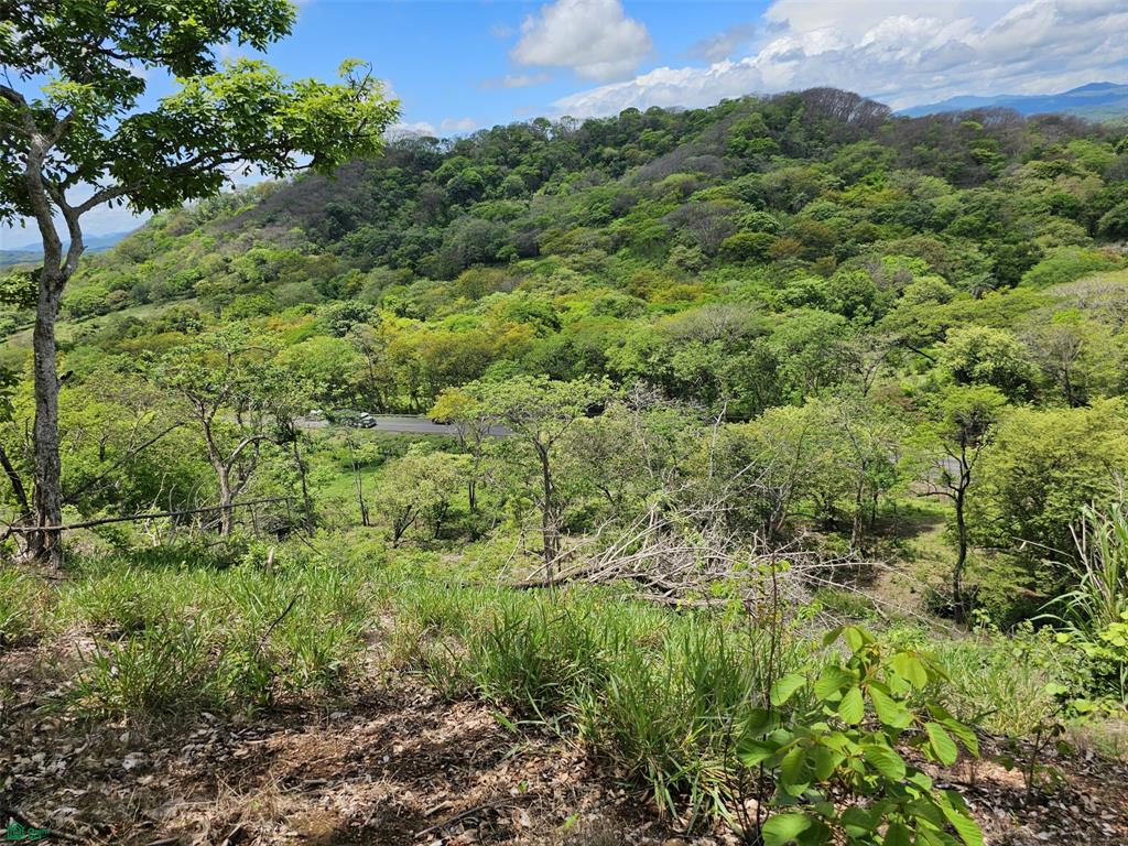 Land at Guatuso