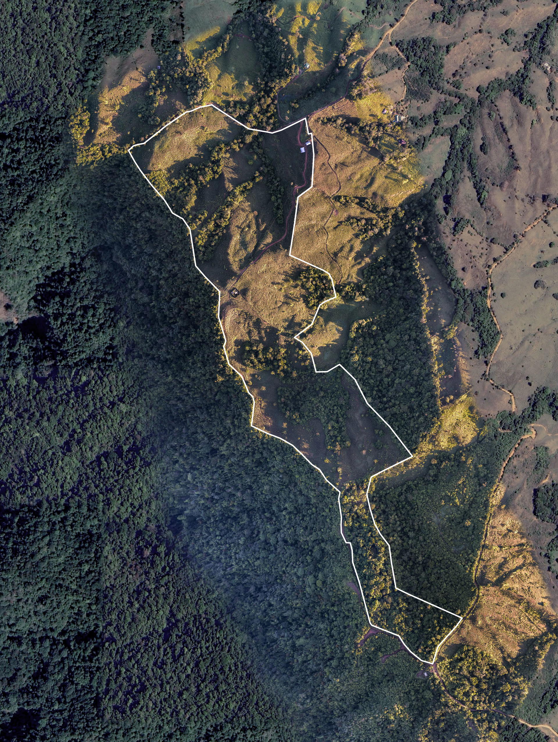 Terreno en Bahía Ballena
