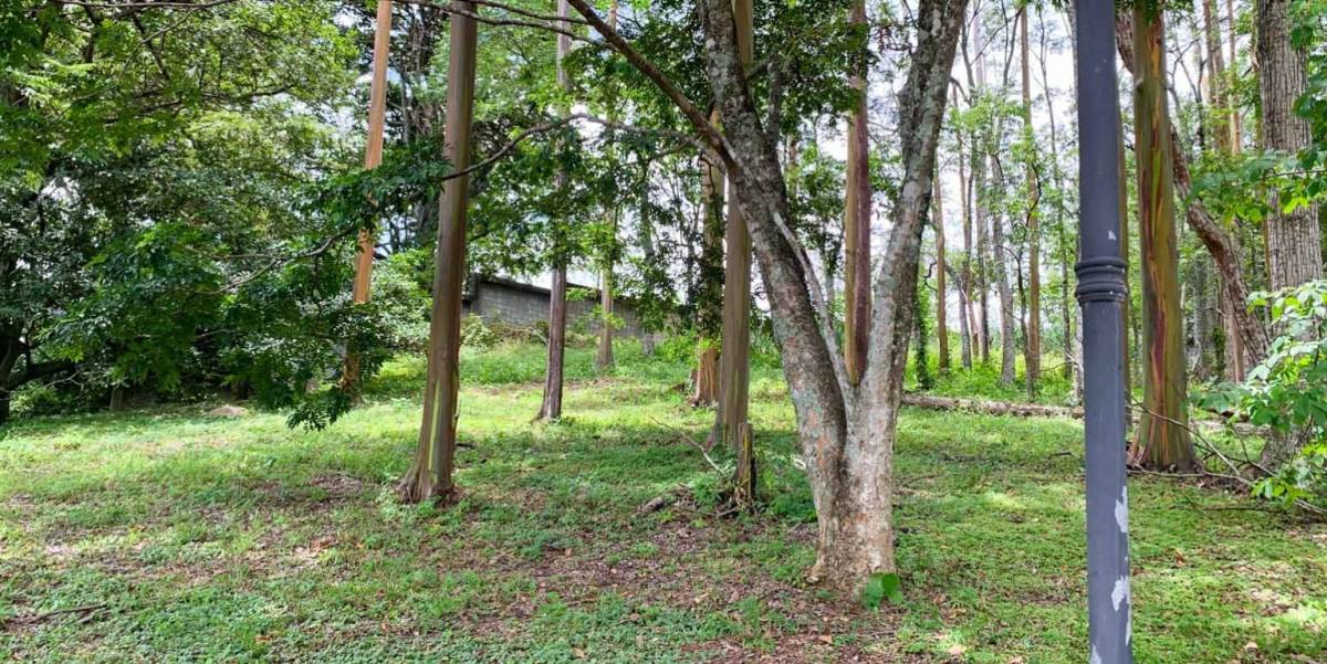 Property at Guachipelin