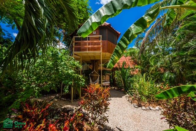 Property at Santa Cruz
