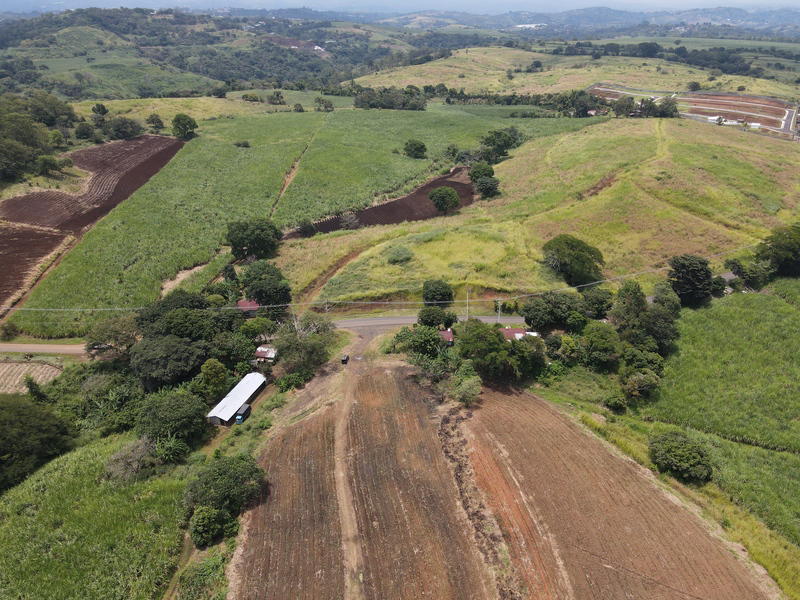 Land at Grecia
