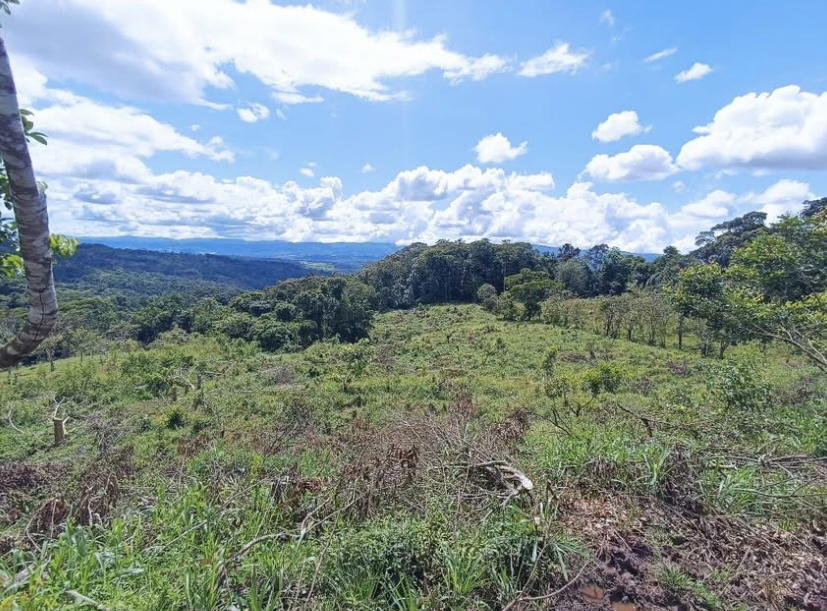 Finca en El General