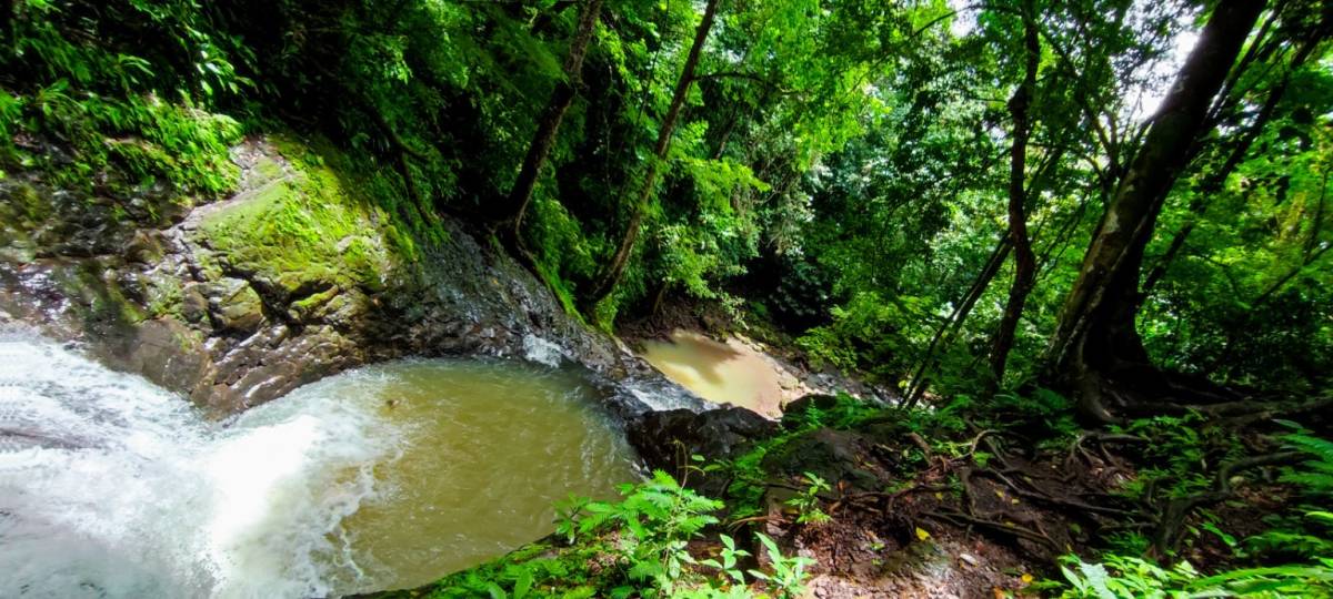 Finca en Parrita