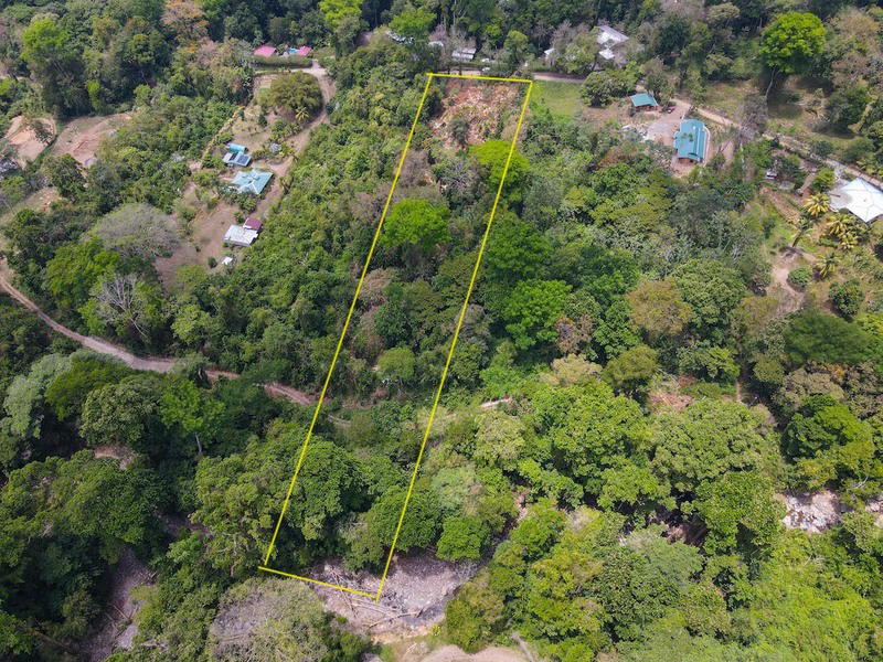 Land at Bahía Ballena
