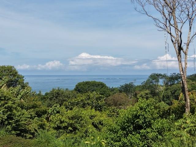 Property at Uvita