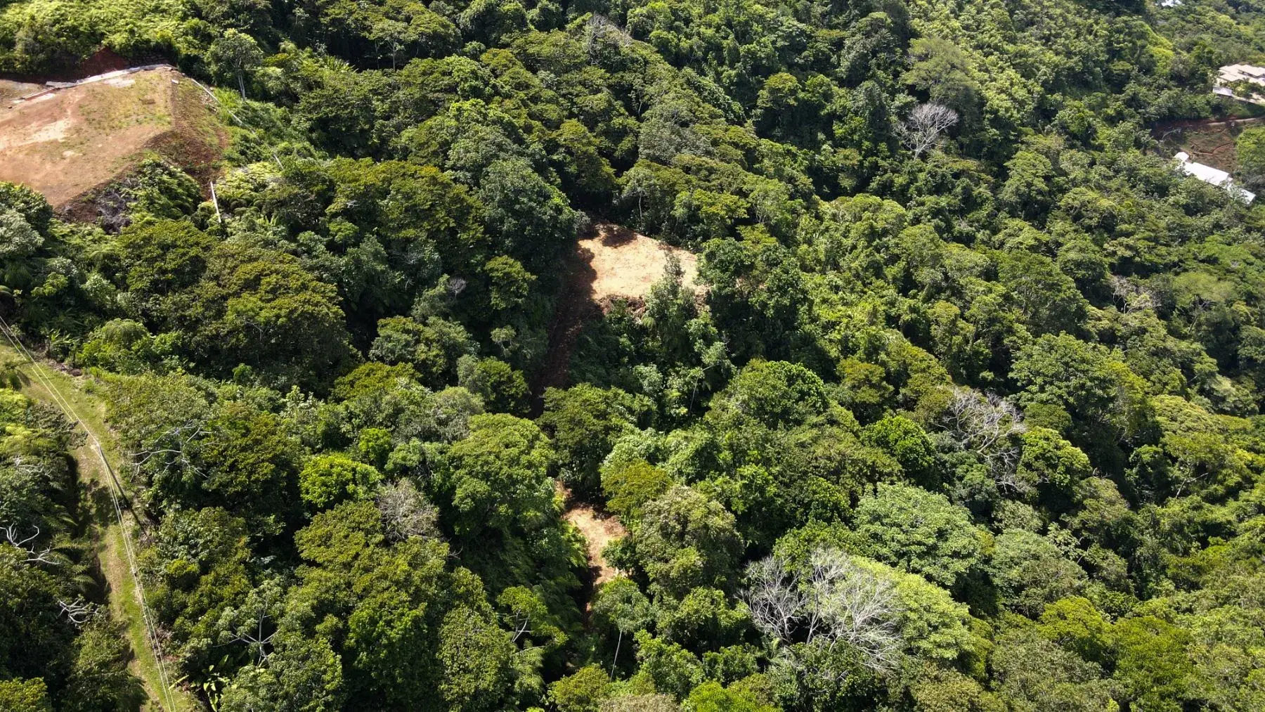 Terreno en Bahía Ballena