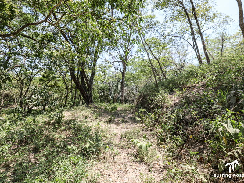 Terreno en Nosara