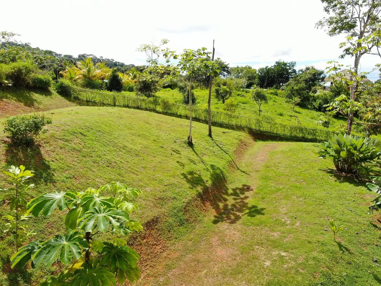Land at Bahía Ballena