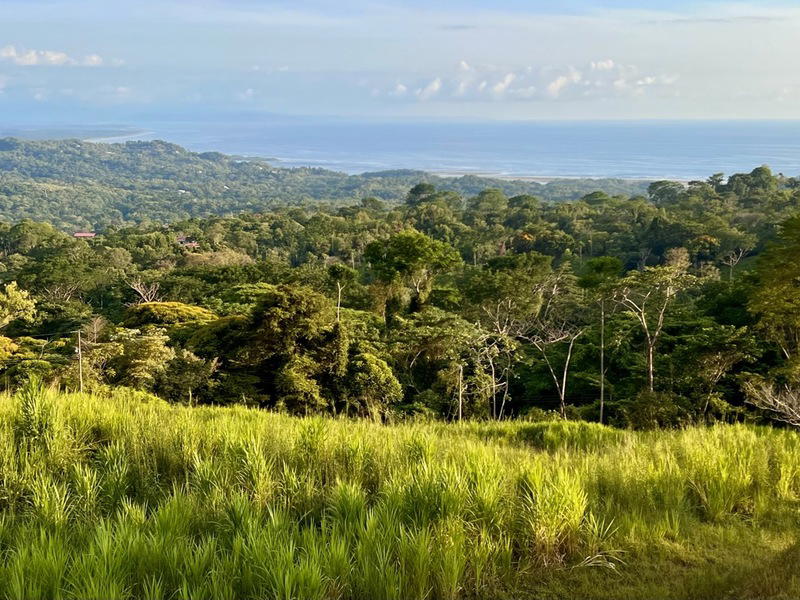 Land at Bahía Ballena