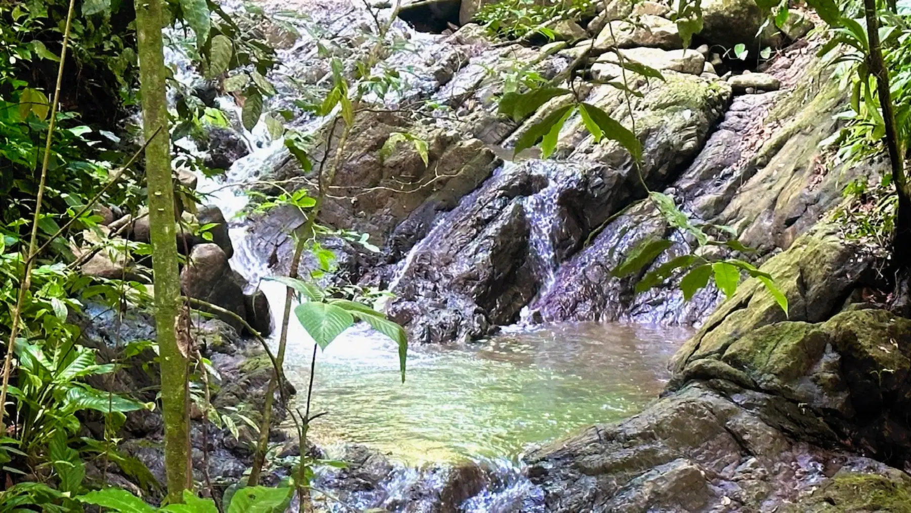 Terreno en Bahía Ballena