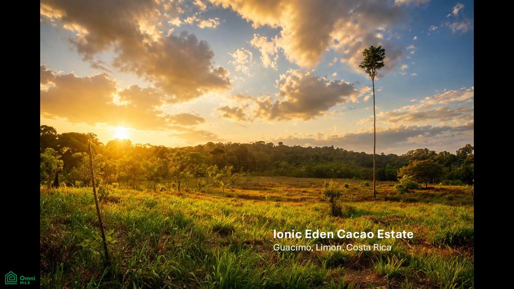 Land at Guácimo