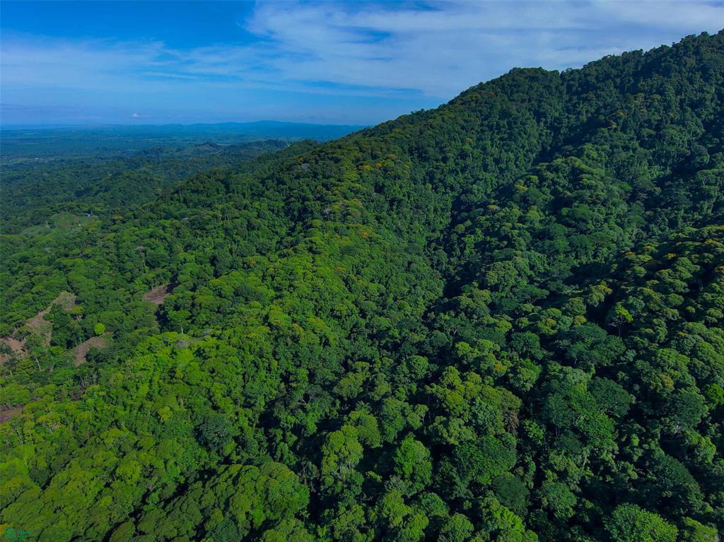 Property at Quepos