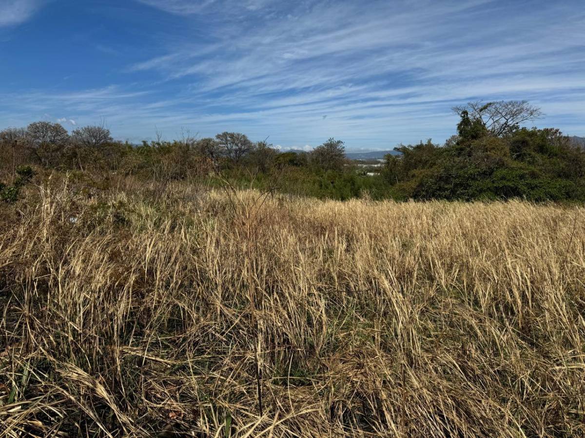 Property at Coyol